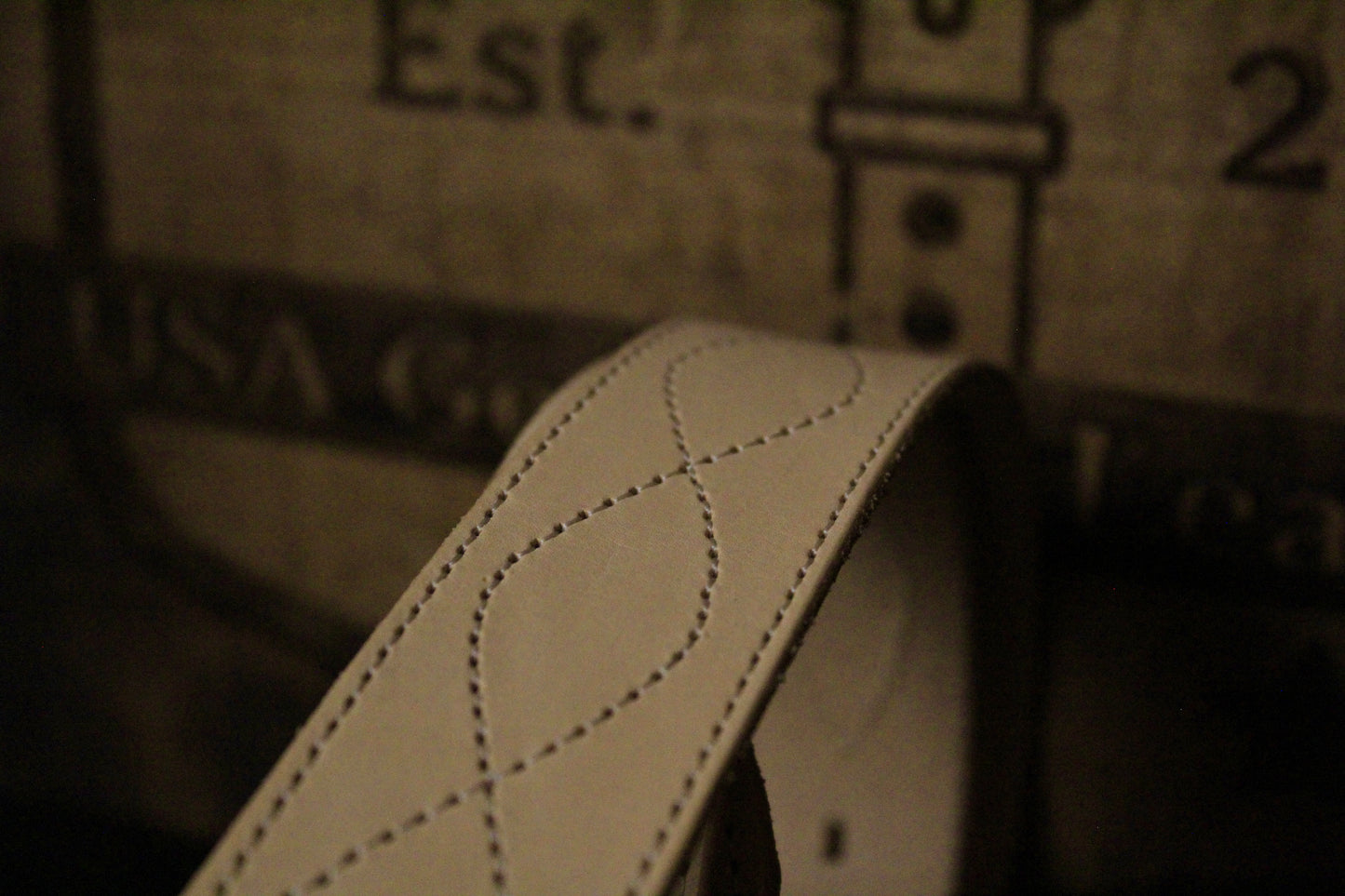 Evelyn Women's Leather Belt, closeup